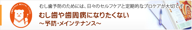 むし歯や歯周病になりたくない～予防・メインテナンス～